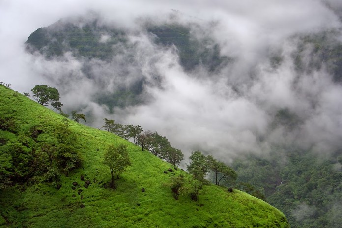 Protect edareasand ESA’s Rain forest india
