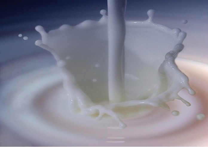 milk