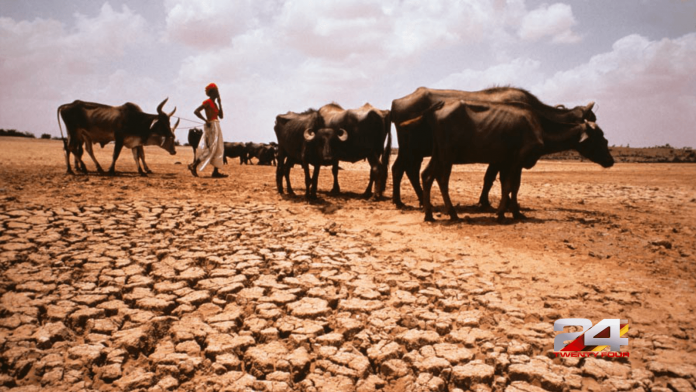 draught-india draught-india