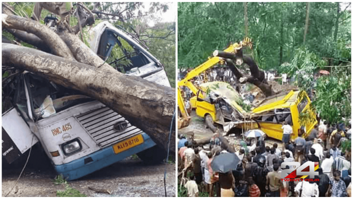 road-side-trees-causing-accidents