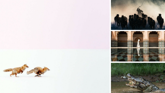 Untitled design (54)