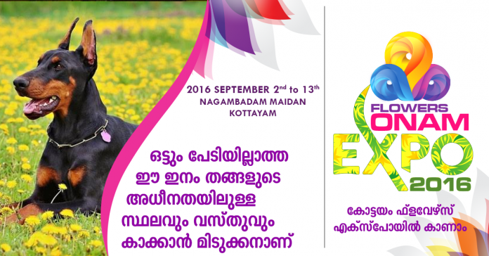 Expo_ FB card