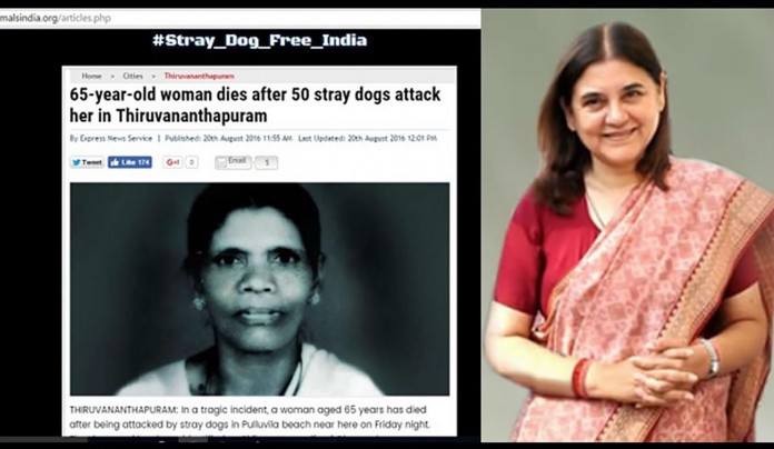 maneka gandhi web