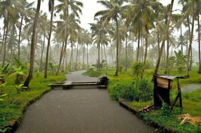 kerala rain kerala rain