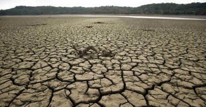 drought field drought field