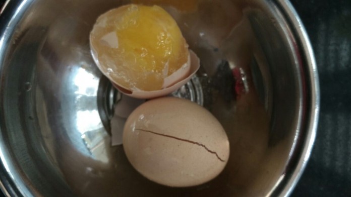 fake-egg-1
