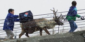 Domino's is training reindeer to deliver pizza