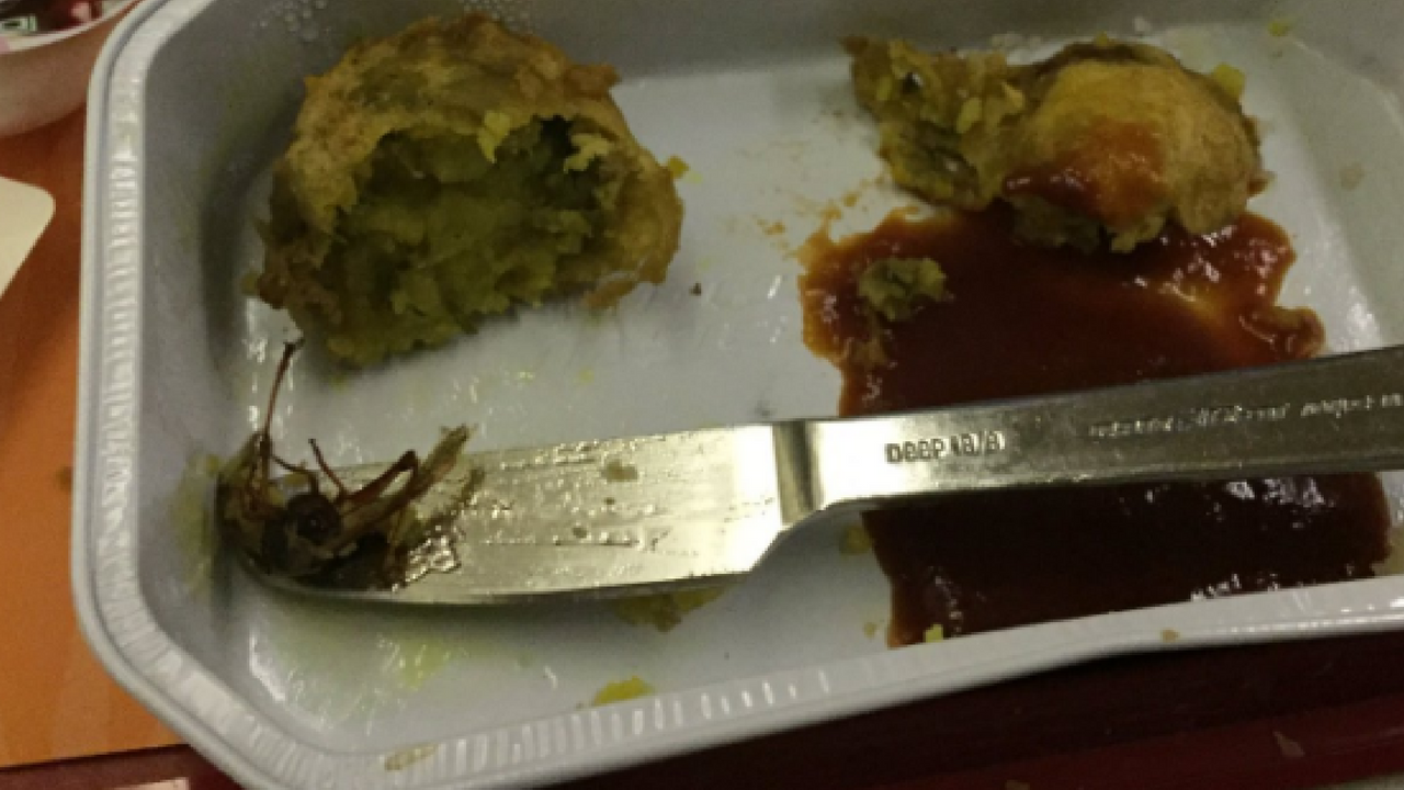 cockroach fry in air india food