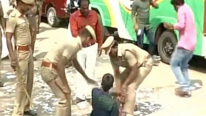 jallikattu jallikattu