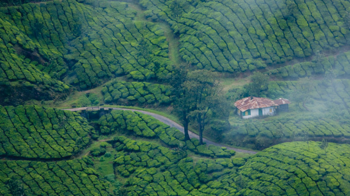 munnar