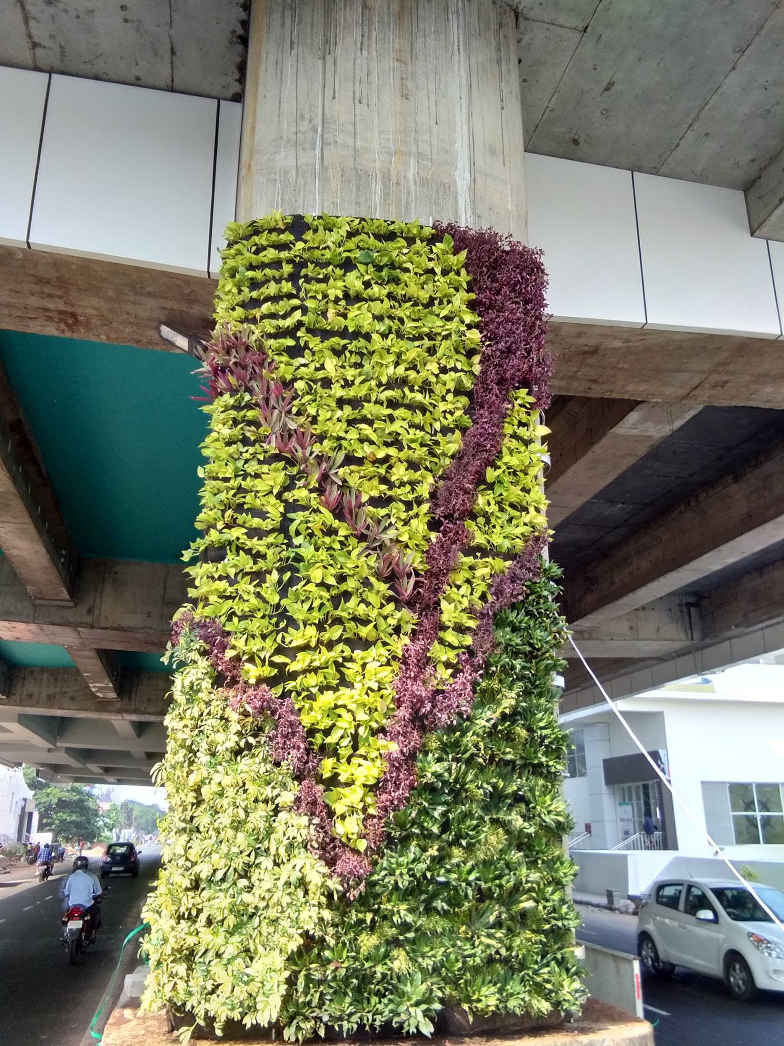 vertical garden, kochi metro pillars
