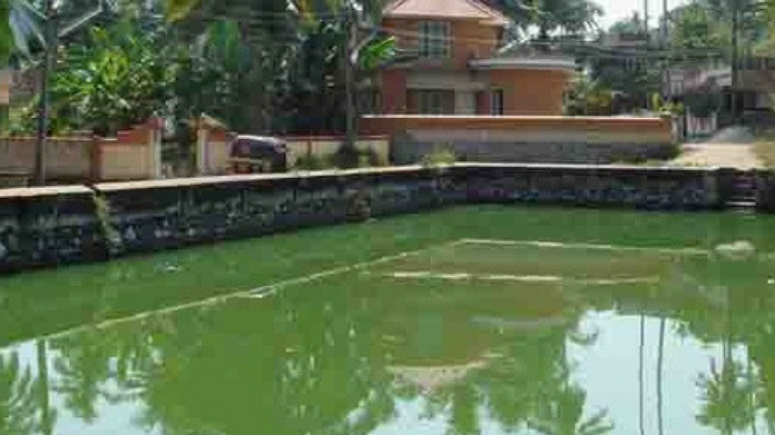 pond pond