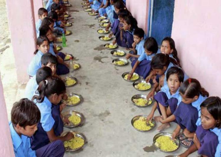 snake found govt school mid day meal 