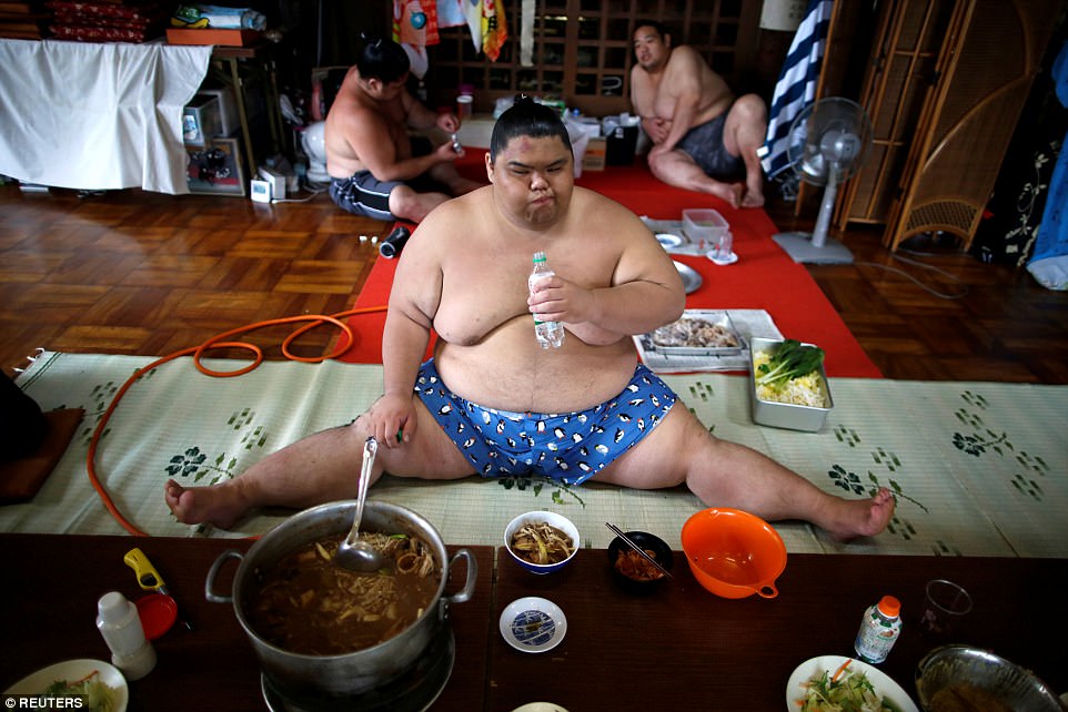  shocking life of sumo wrestlers
