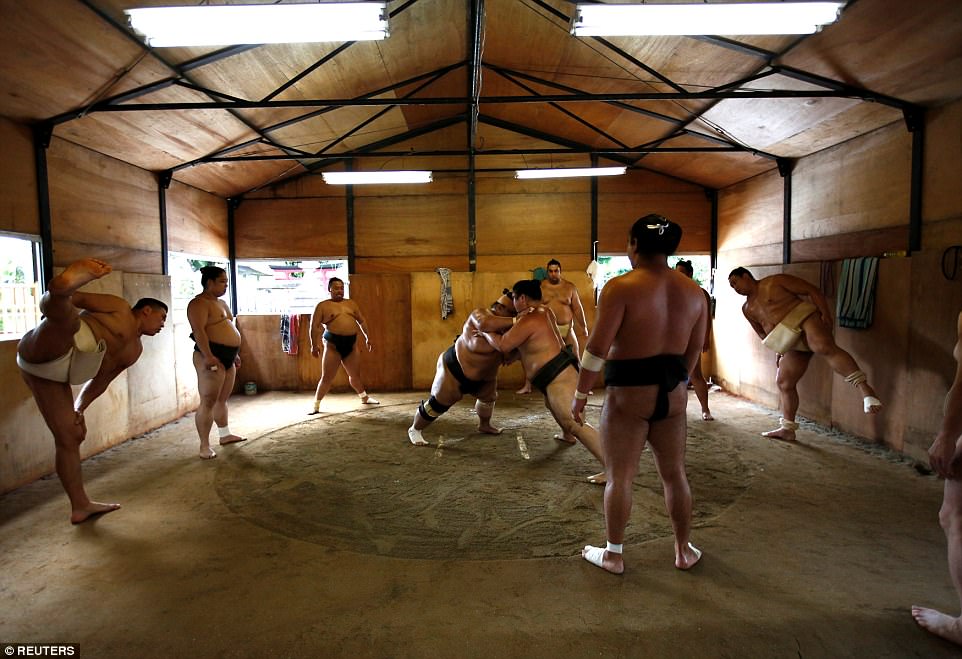 shocking life of sumo wrestlers