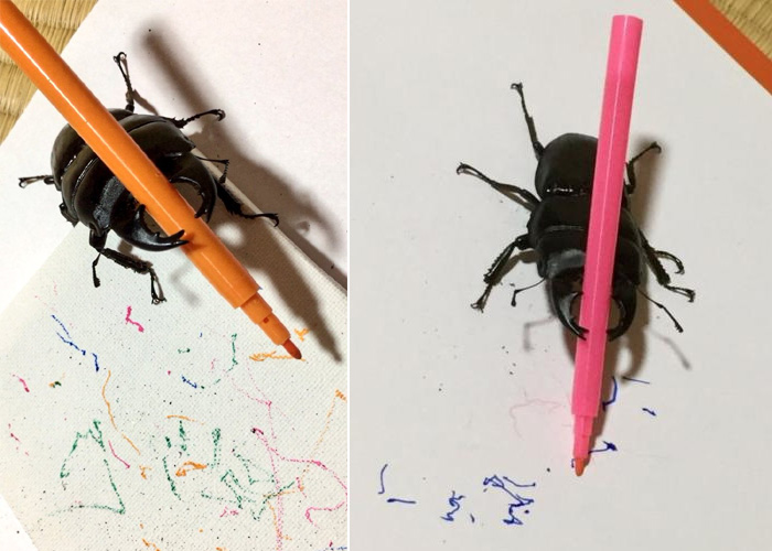 Beetle_painting